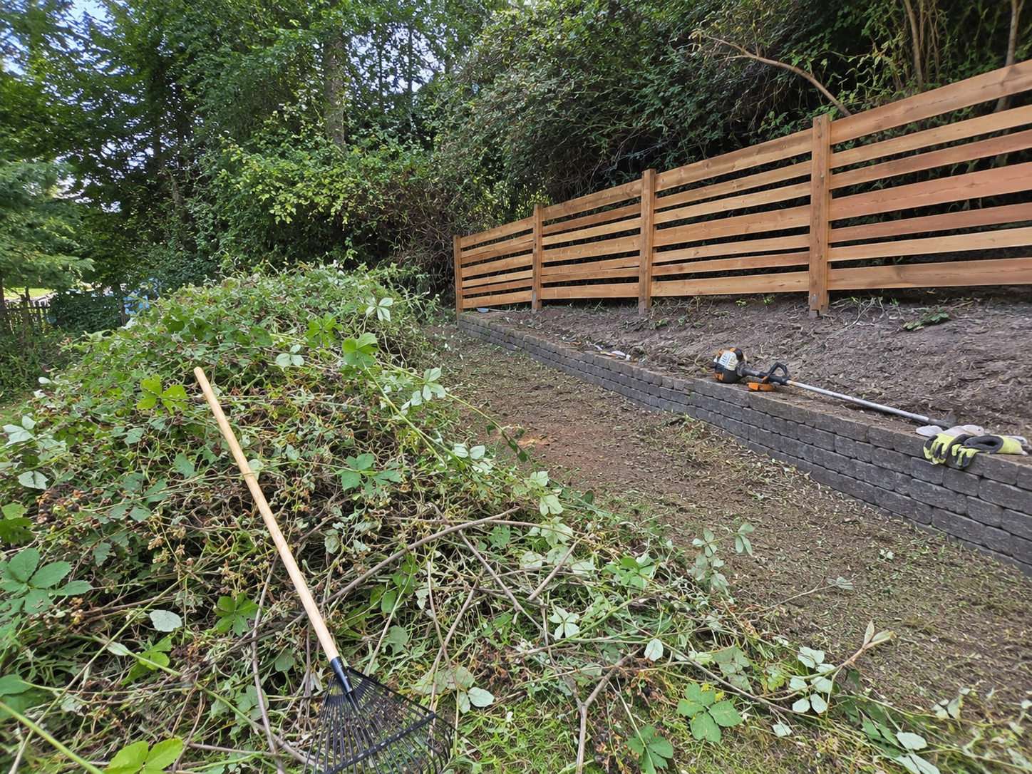 Brush and blackberry cleanup near a fence and retaining wall